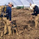 Buscan con 50 agentes y binomios caninos a desaparecidos tras tormenta Rachel en Ensenada