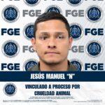 Vinculan a proceso a hombre por presuntamente atropellar intencionalmente a una perrita en Tijuana